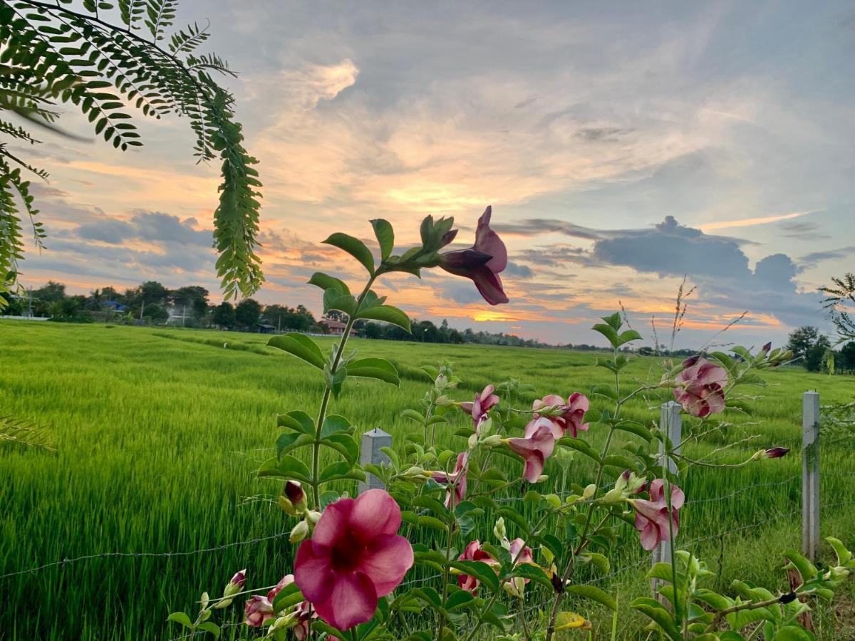 Rang Robin Farmstay With Swimming Pool Ban Wang Muang Exteriér fotografie