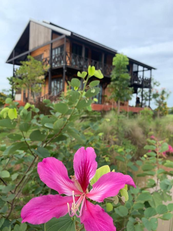 Rang Robin Farmstay With Swimming Pool Ban Wang Muang Exteriér fotografie